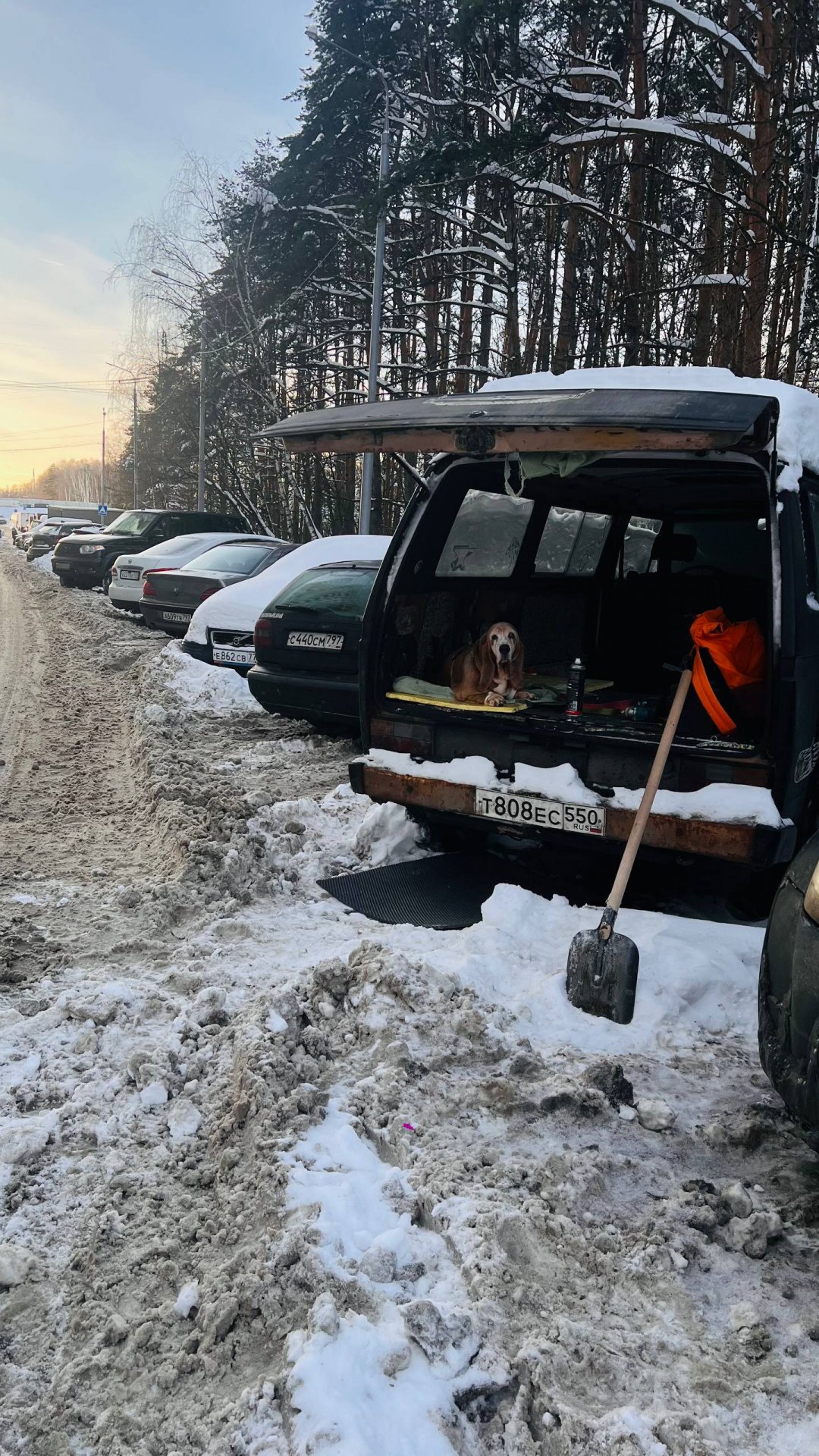 Авто